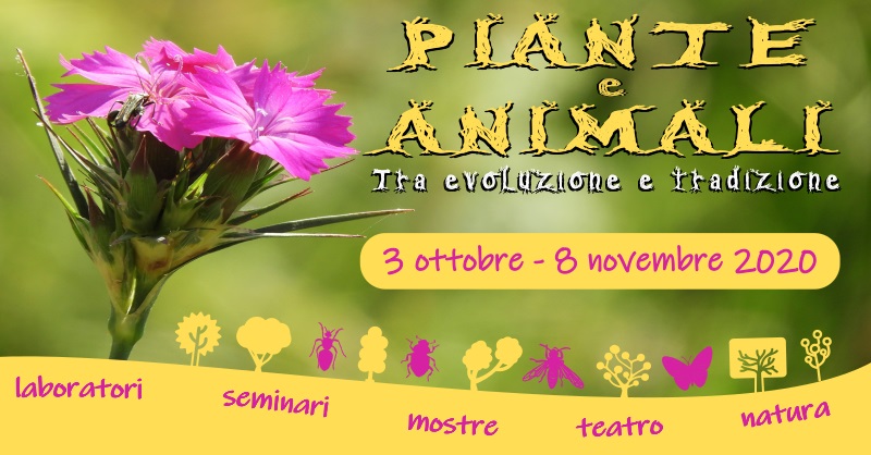 Piante e animali