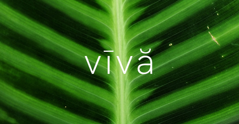 Essere selva