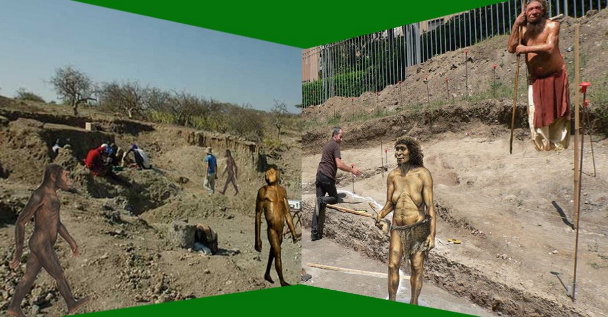 aMICi online – Dal Museo di Casal de’ Pazzi alla Rift Valley