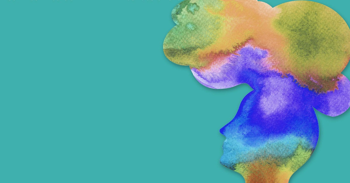 Il cervello evolutivo