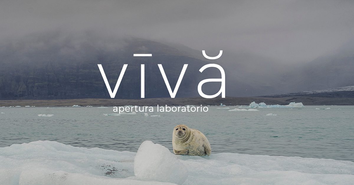 Laboratorio ZOOGRAPHER