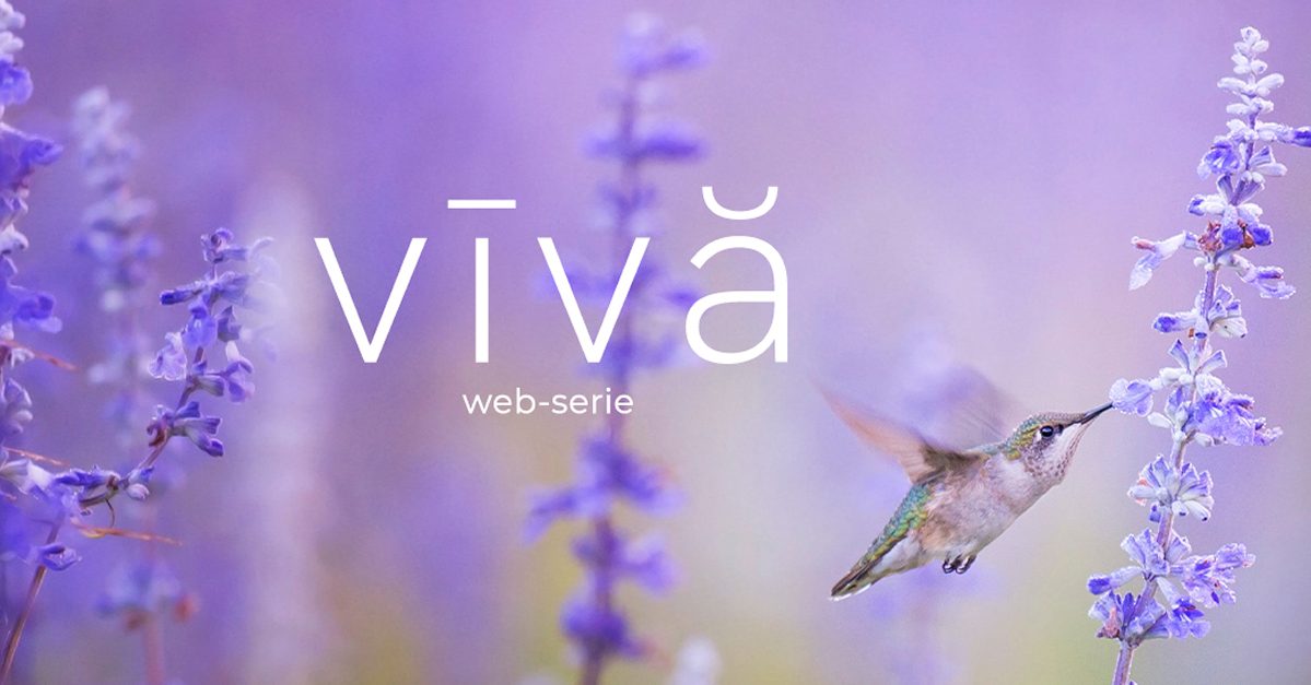 VĪVĂWEB