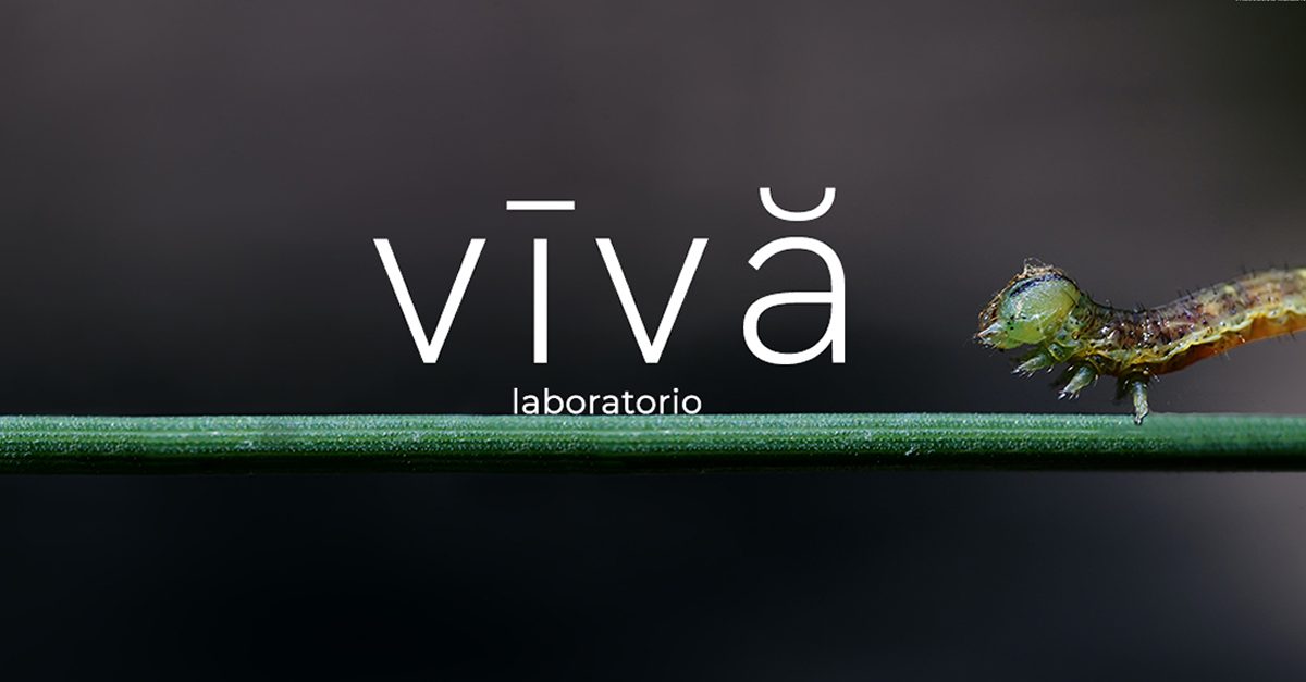 Laboratorio ANIMALI SBAGLIATI