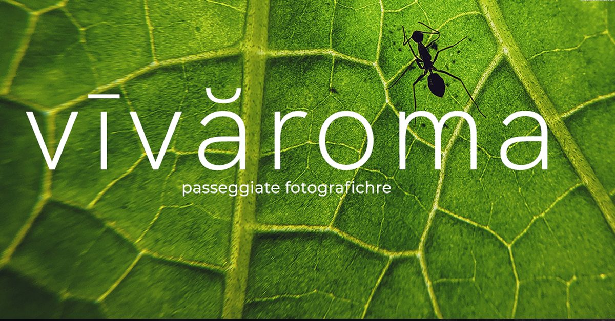 Laboratorio fotografico VĪVĂROMA_LAB