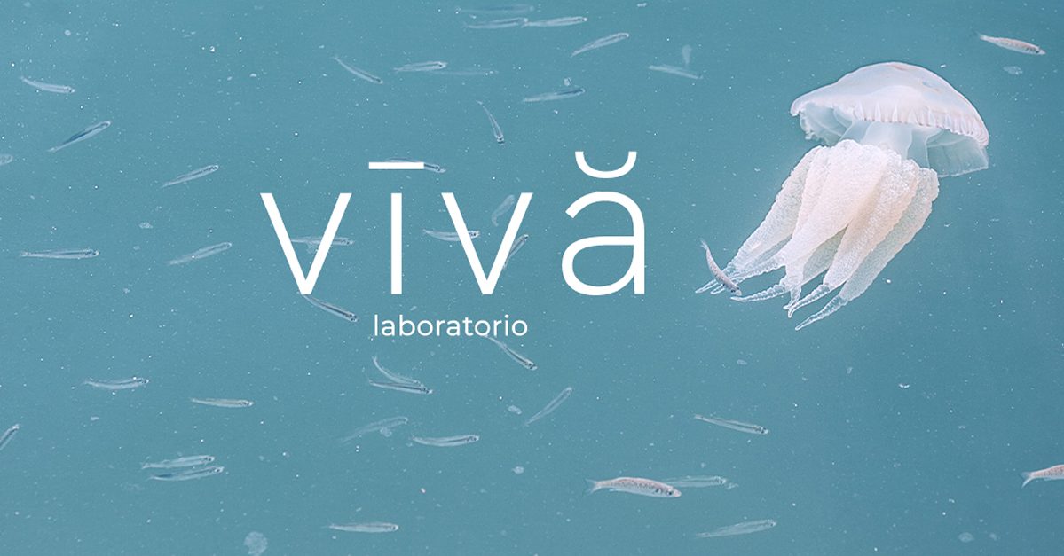 Laboratorio LINA e il CANTO del MARE