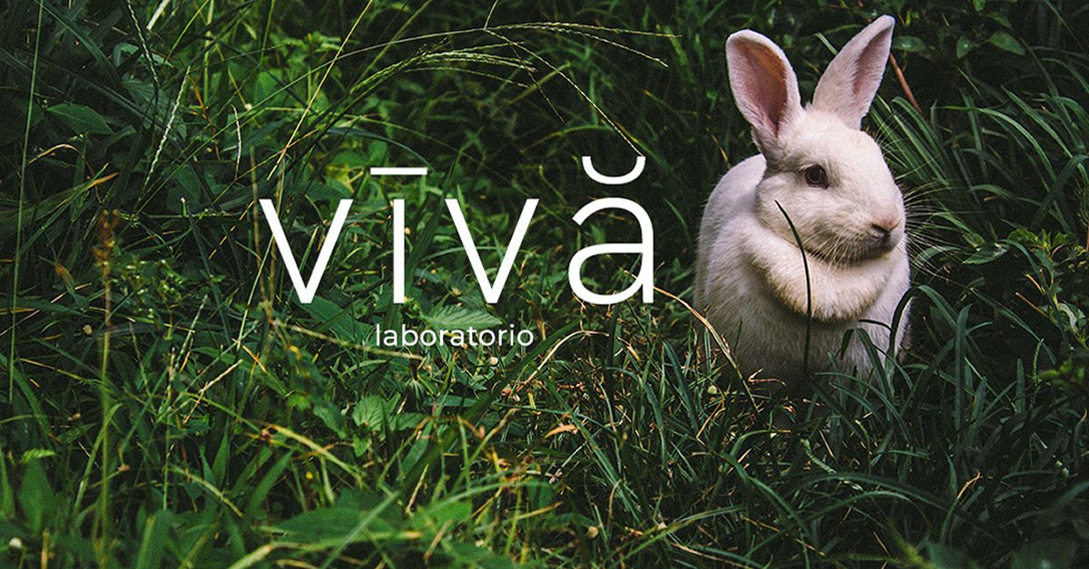 Laboratorio TESSITORI in ERBA