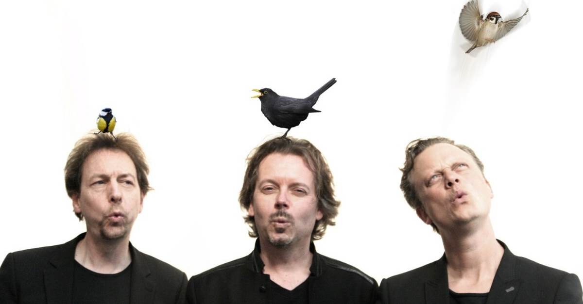 Marcus Schinkel Trio