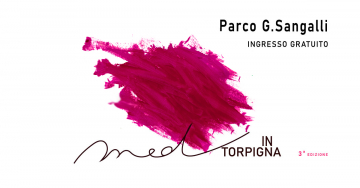 Med in Torpigna