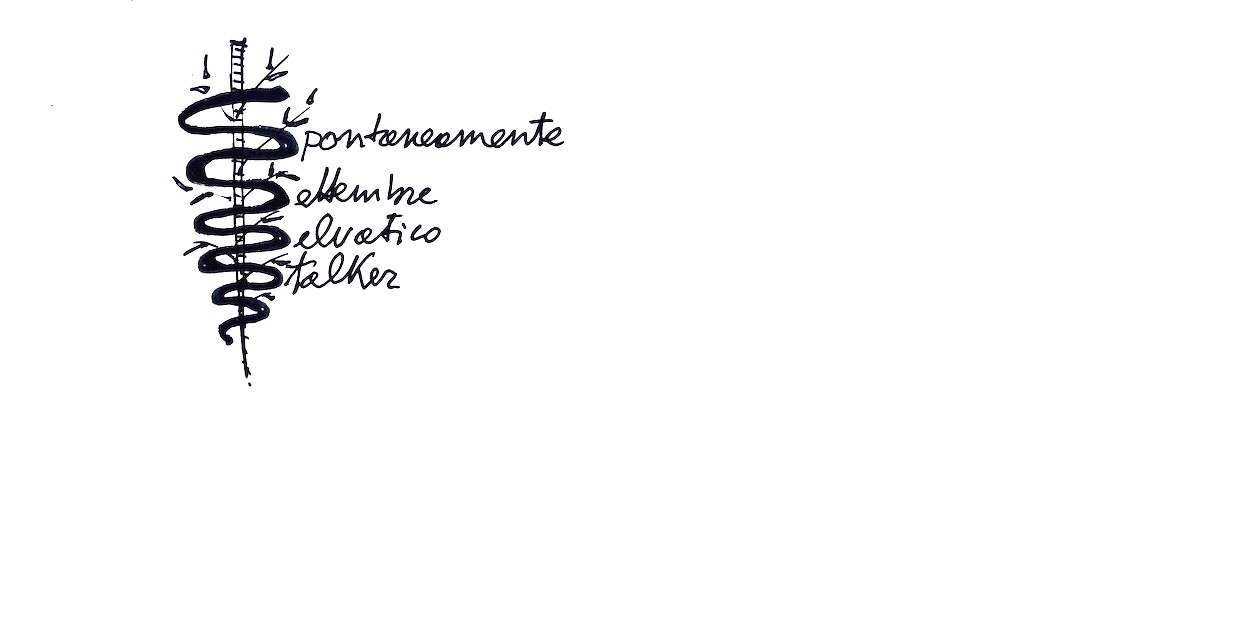 Spontaneamente. Celebrare la natura selvatica in città