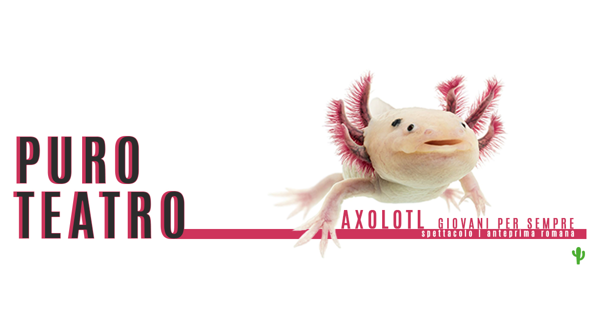 AXOLOTL_GIOVANI PER SEMPRE