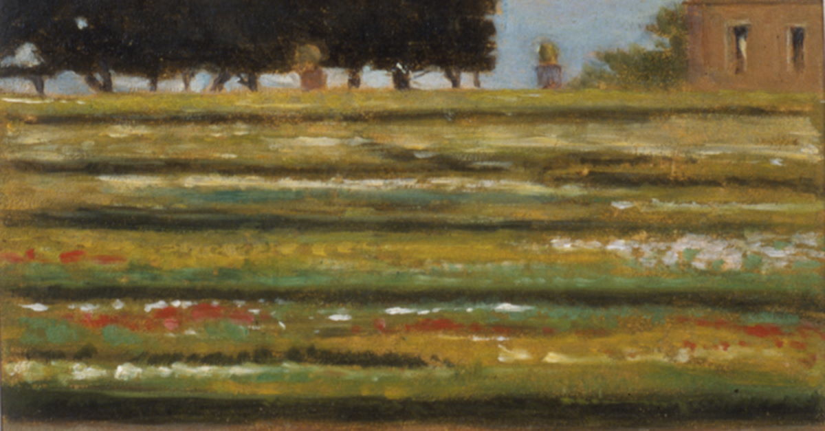 Tra foglie e fiori