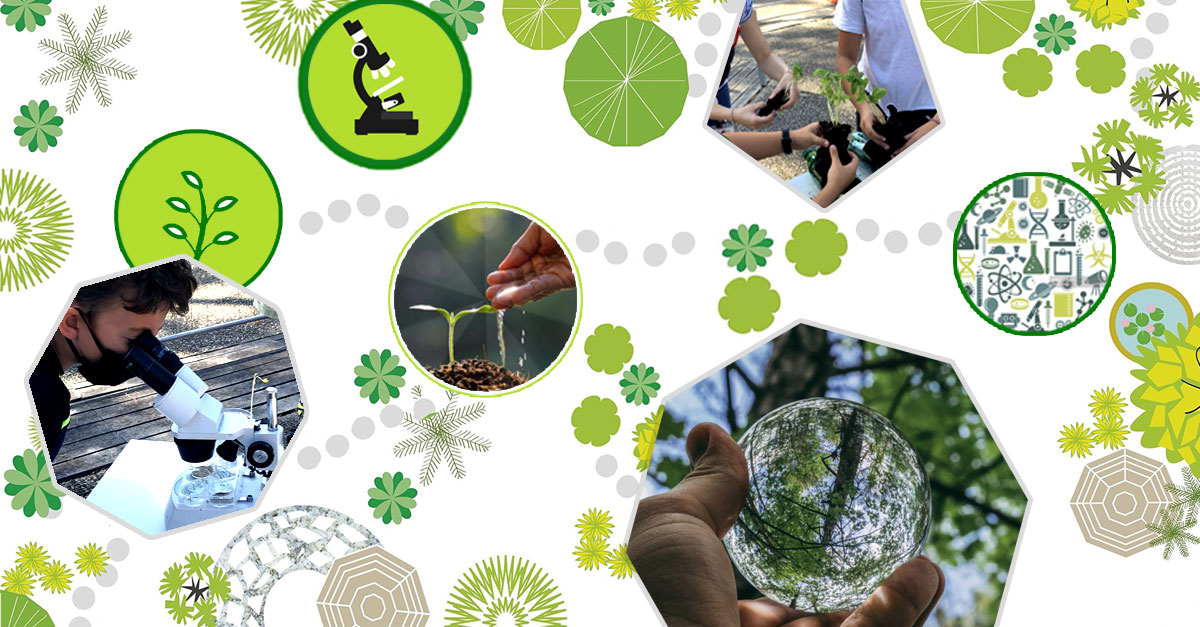NATURAL GARDEN – LAB