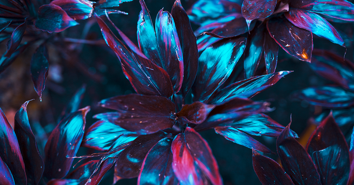 FUTURO / PROSSIMO 2022