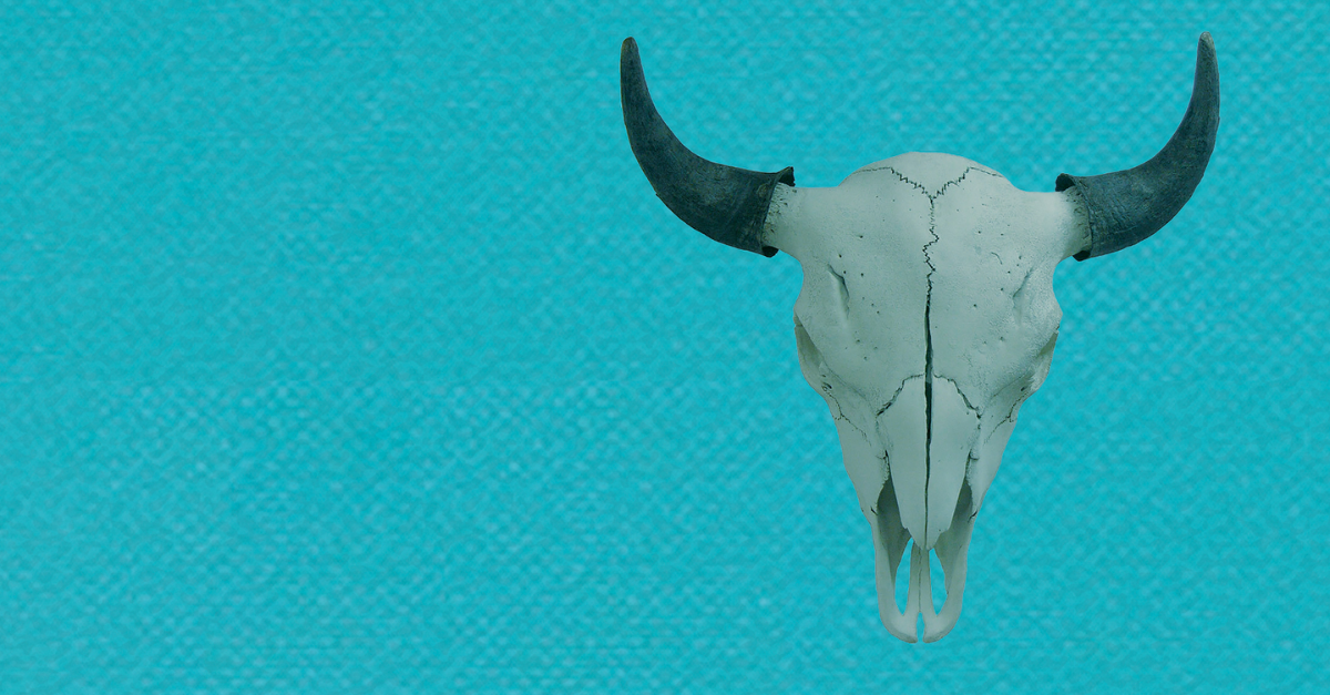 Buffalo – Il corpo all’aperto