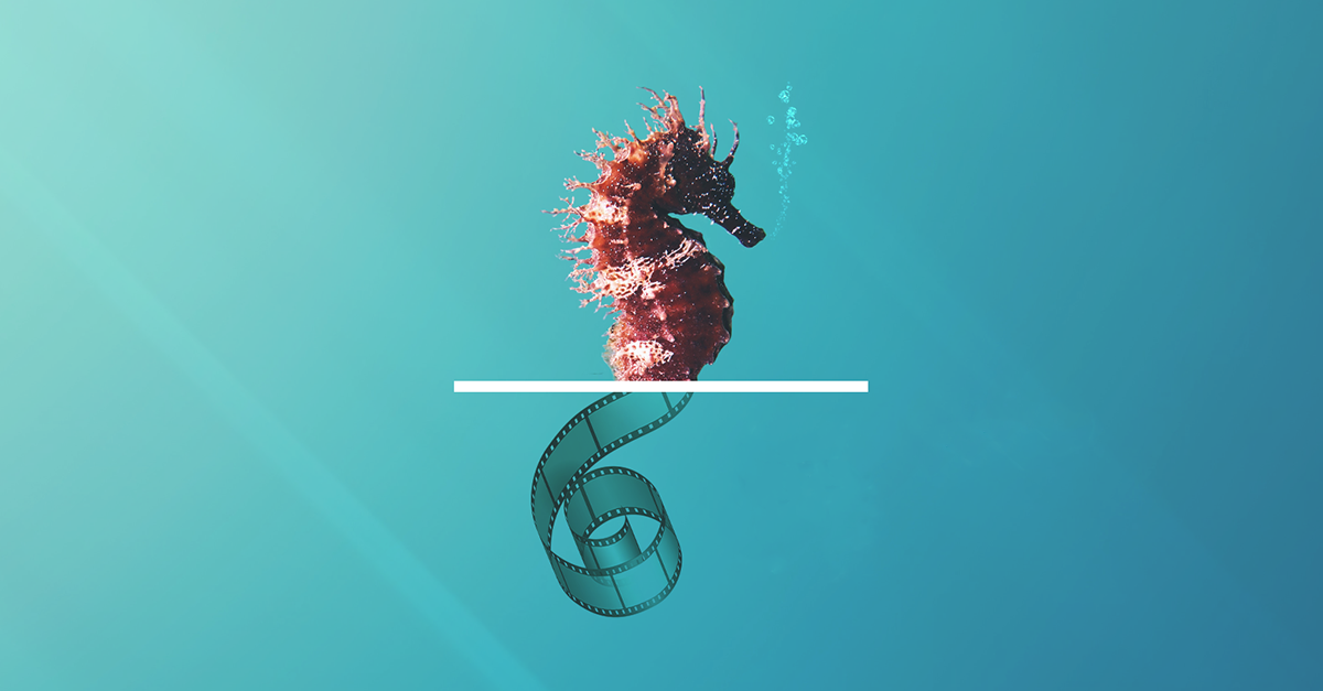 Cinelido – Festival del cinema italiano 2022