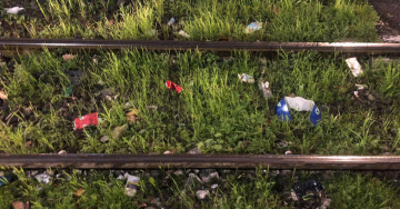 D.A.F.N.E. (Danni Ambientali e Formazione di Nuovi Ecosistemi)