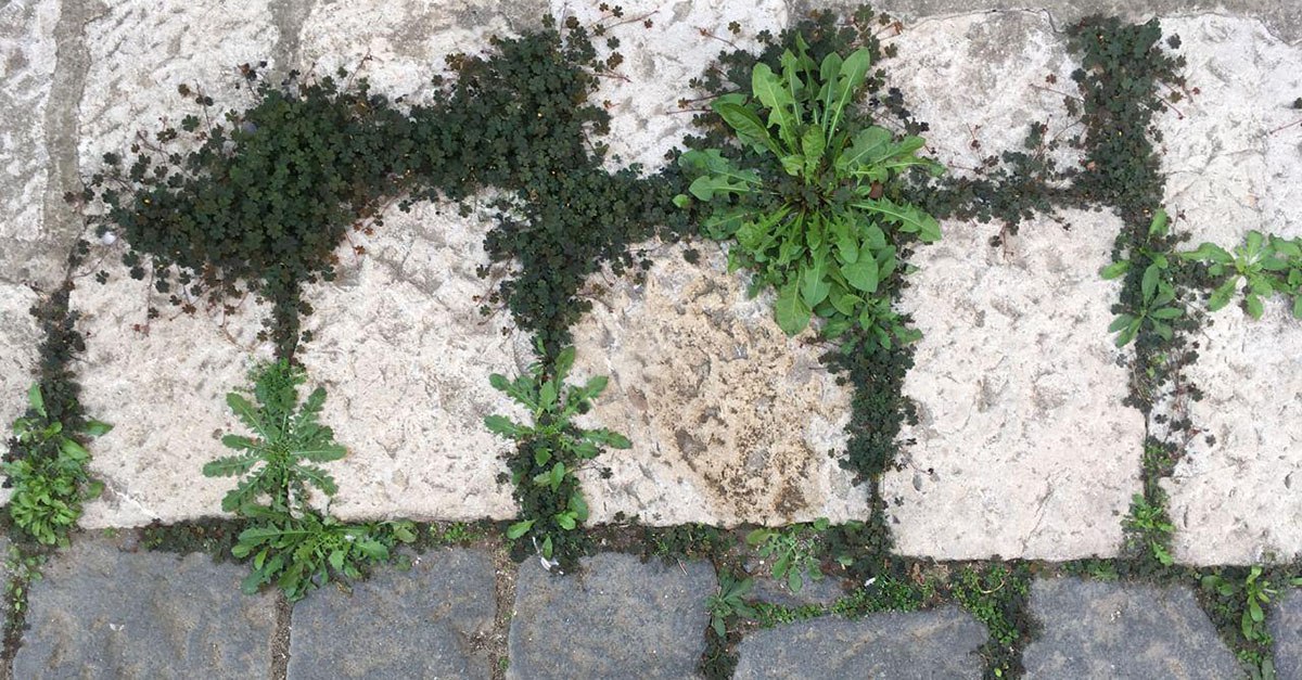 L’Arte della minoranza Sami e la natura