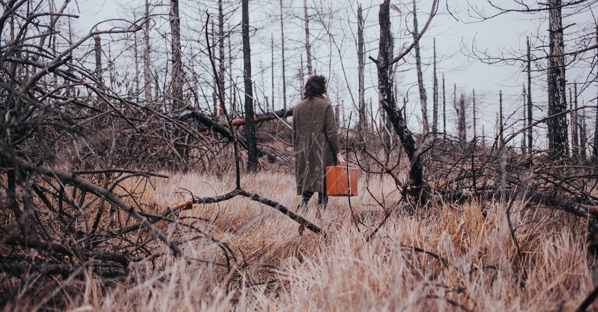 Questi pochi centimetri di terra