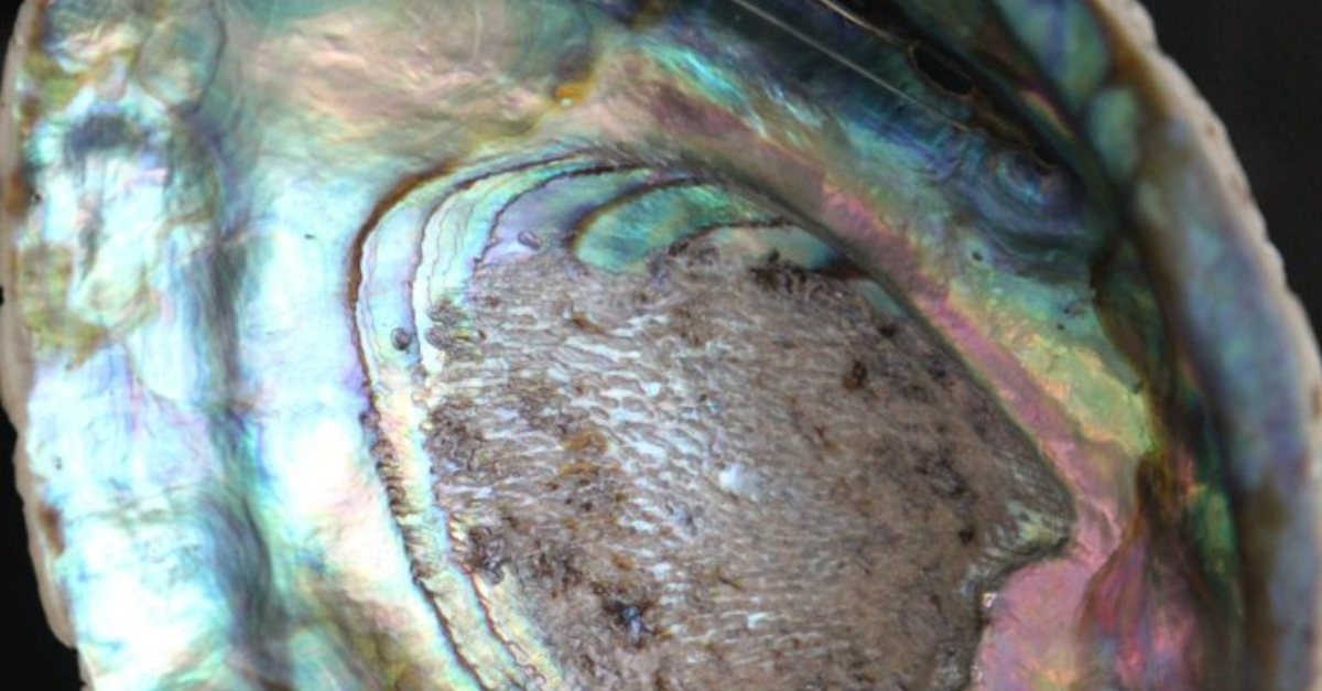 Appuntamenti del 15 settembre