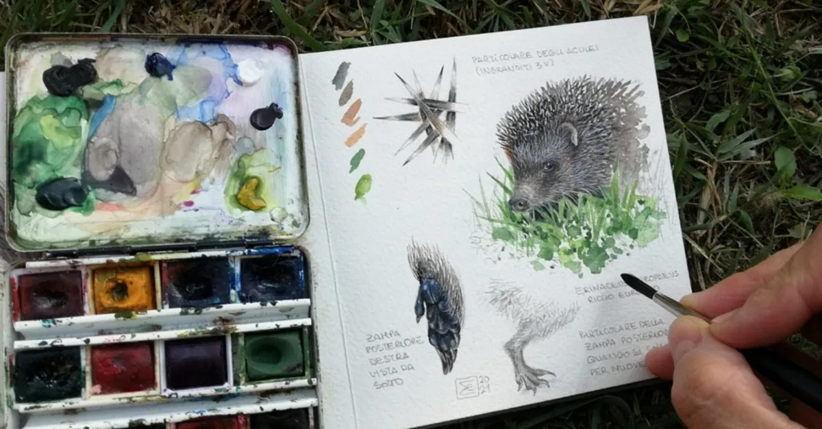 Erratico – 30 artisti italiani per un taccuino naturalistico itinerante