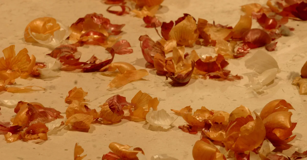 Precipitazioni sparse