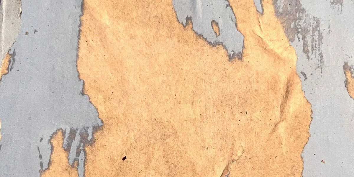 ORBITA| Corpi in ascolto 2023