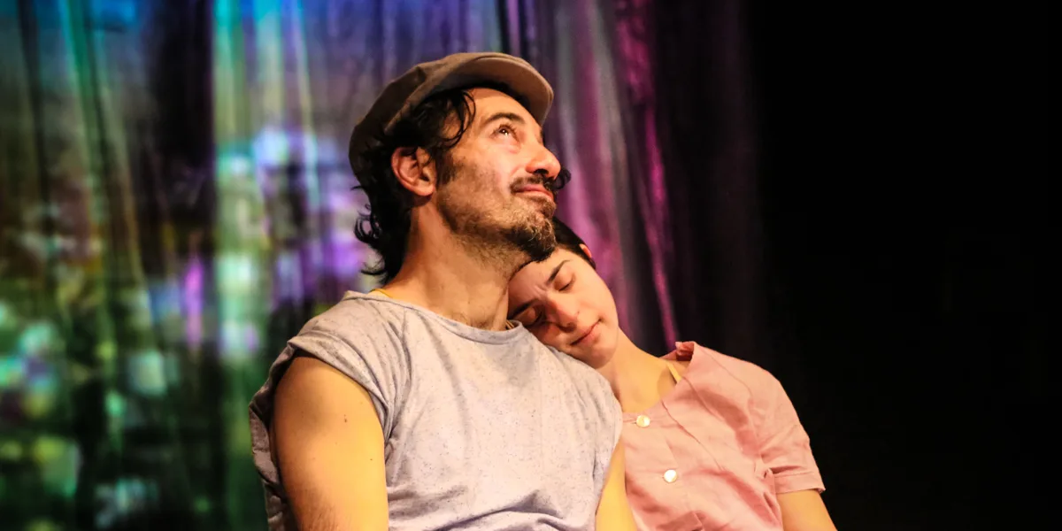 DIARIO DI UN BRUTTO ANATROCCOLO