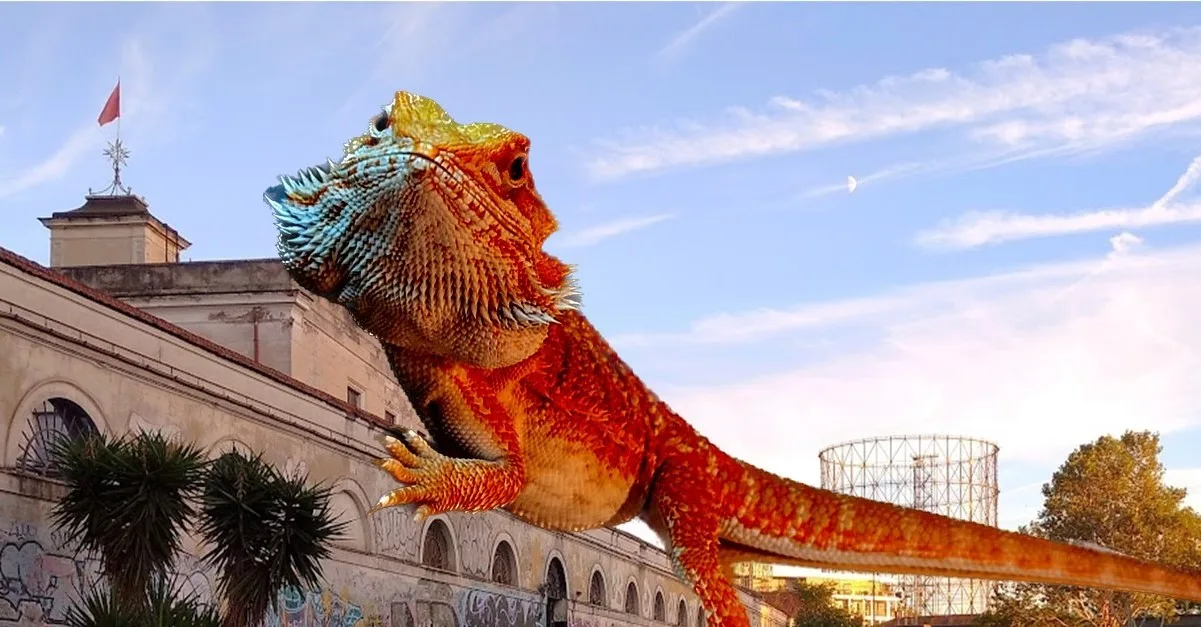 APPUNTAMENTO CON IL GAMBERO KILLER