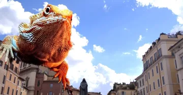 APPUNTAMENTO CON IL FICO DEGLI OTTENTOTTI E IL RATTO ASIATICO