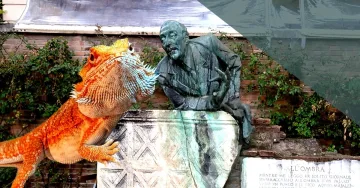 APPUNTAMENTO CON IL TAMIA SIBERIANO