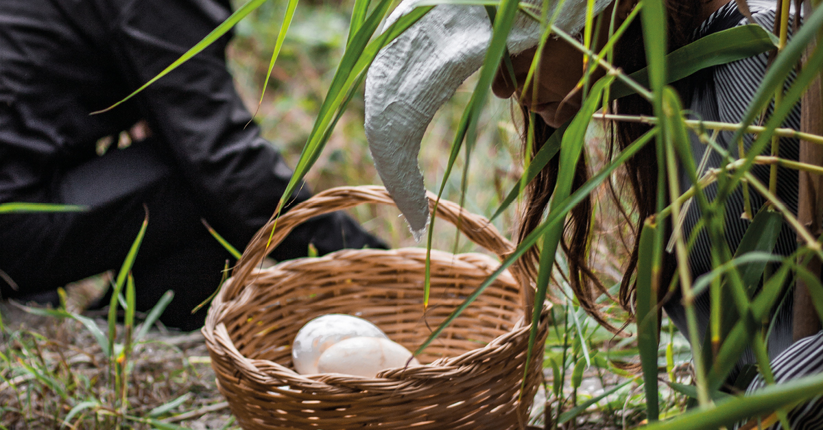 UCCELLI – ARCHEOLOGIA NATURALE #29