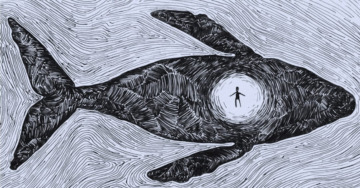Talk “Nella pancia del pescecane”