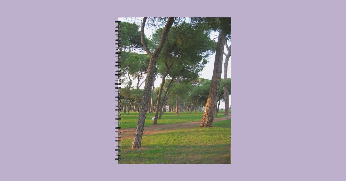 Passeggiata nel parco