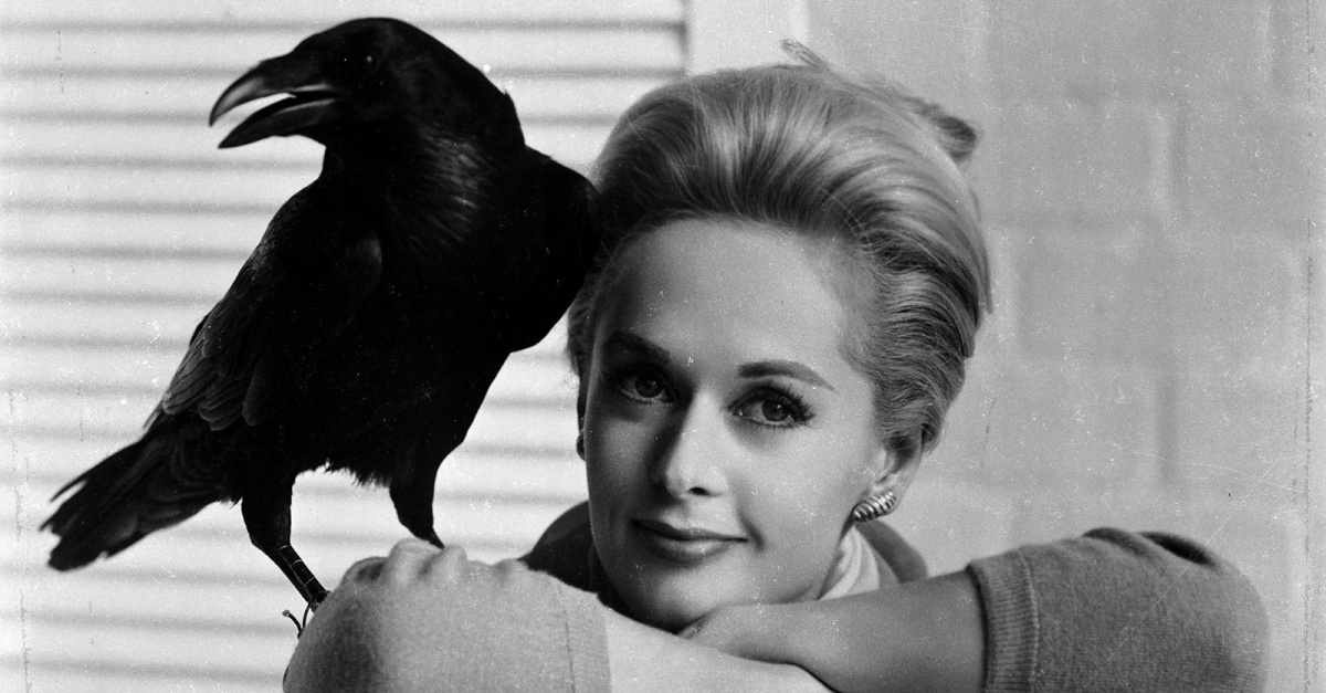 Chi ha paura della natura?