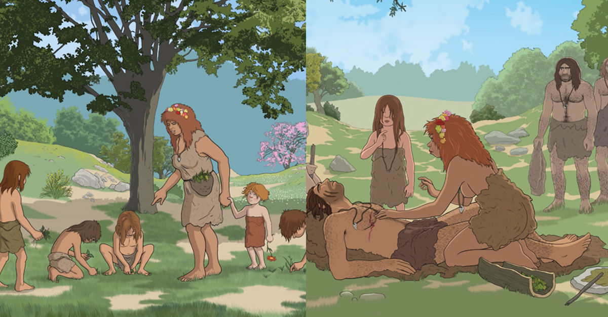 Aver cura: solidarietà e rimedi naturali nel Pleistocene