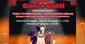 CANI E GATTI