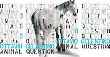 OTTAVIO CELESTINO. ANIMAL QUESTION