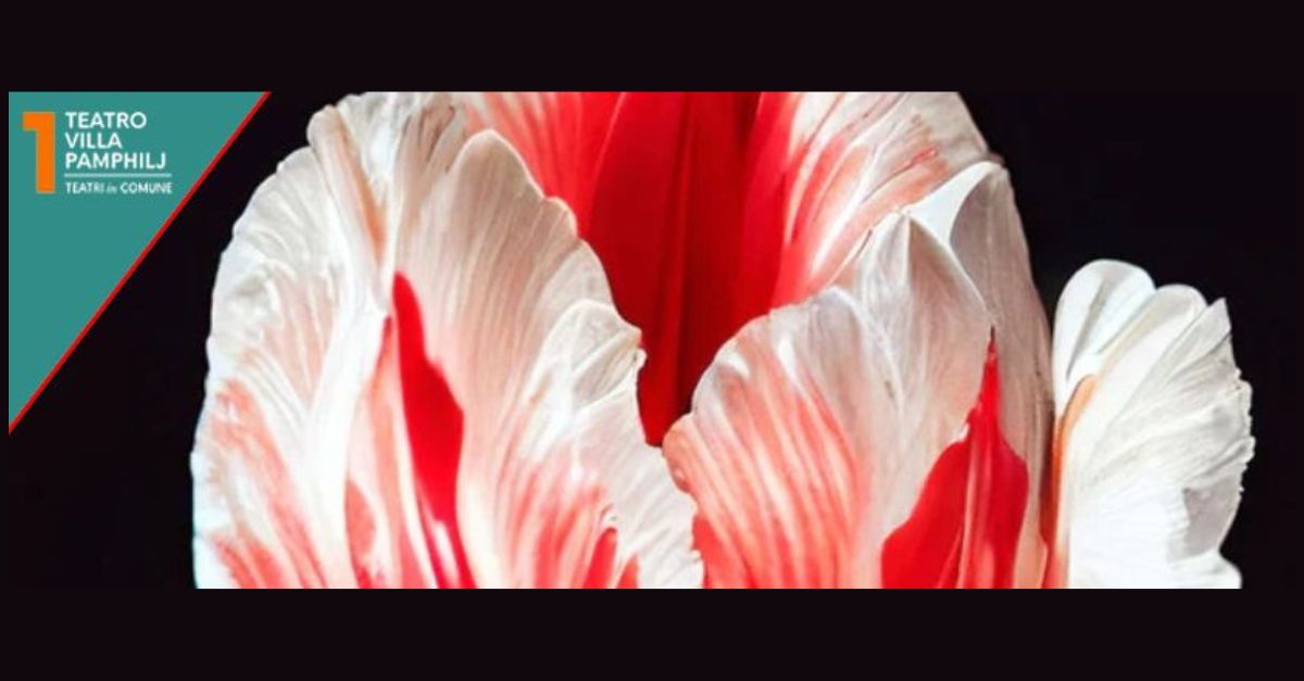 In viaggio verso “Tulipa”