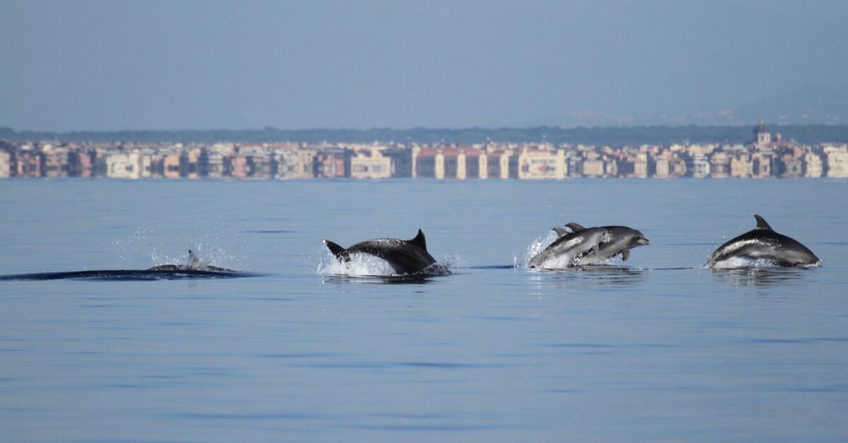 Onda su onda. itinerario naturalistico