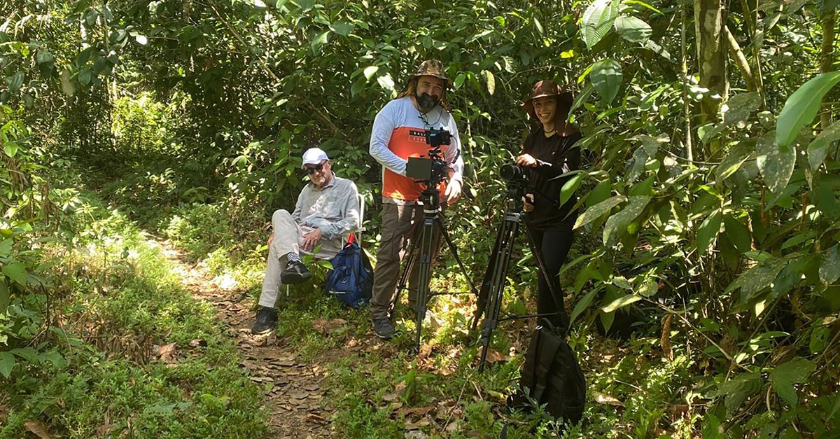 IL SILENZIO DELLE SIRENE