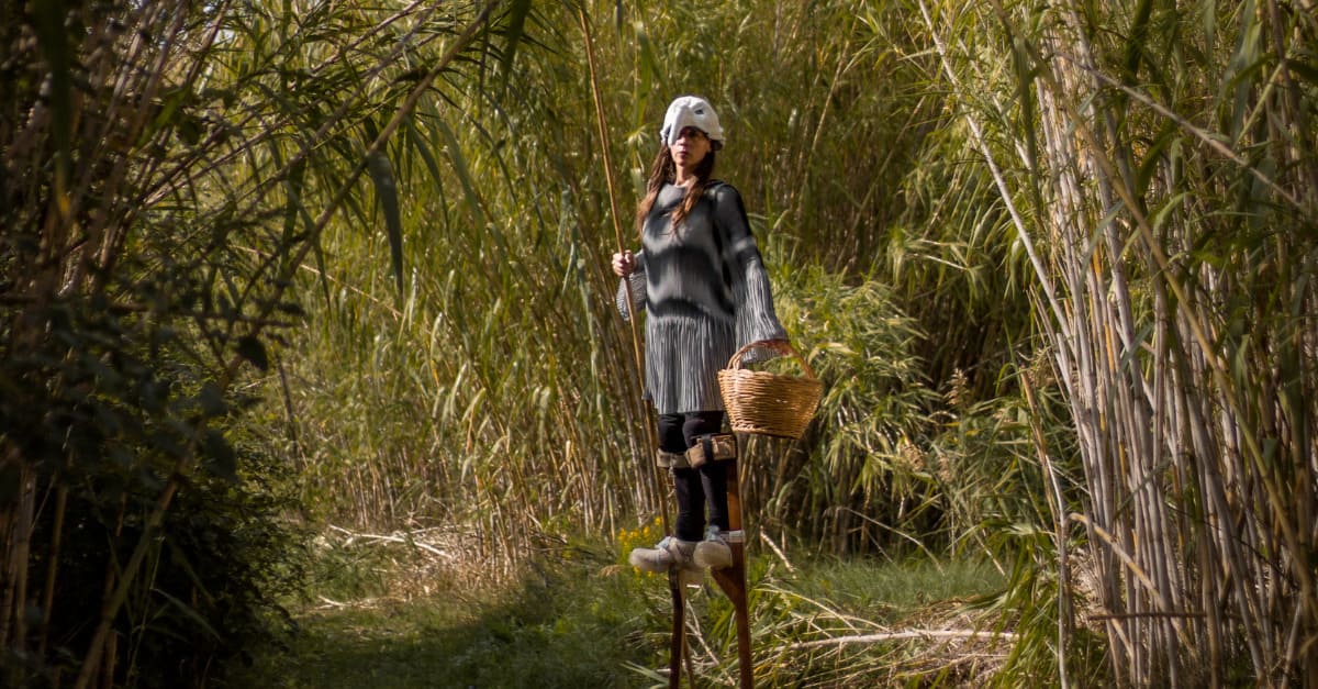 UCCELLI – Archeologia naturale #33