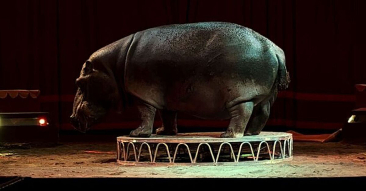 Evento speciale | L’ultimo spettacolo