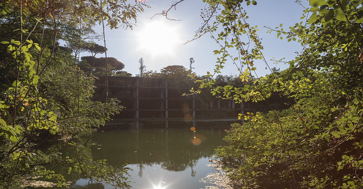 L’ARTE IN UNA STANZA I e II