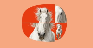 WAGNER: LA VALCHIRIA