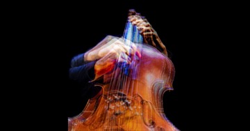 UNA STRISCIA DI TERRA FECONDA 2025