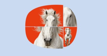 CHI TI PERSEGUITA, CHE GIÀ VUOI FUGGIRE?