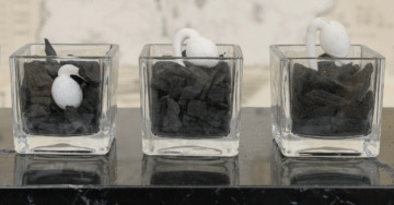 Silvia Scaringella. Deus sive natura