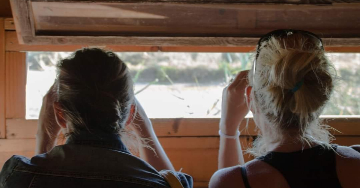 Uccellacci Uccellini