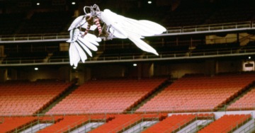 ANCHE GLI UCCELLI UCCIDONO