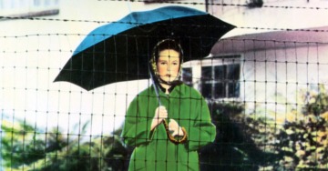 QUEL FREDDO GIORNO NEL PARCO